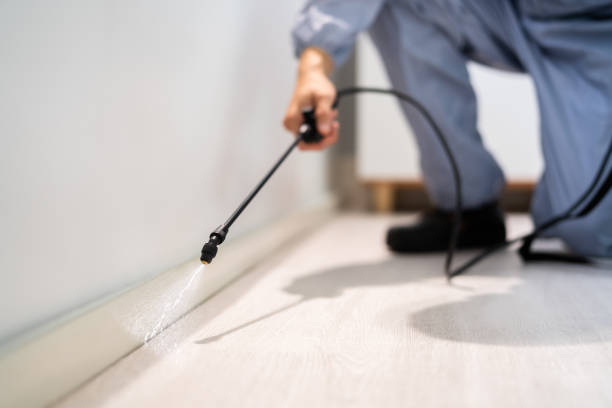 Licensed Rodent Control service in Arlington Heights, PA - Nex Pest Control