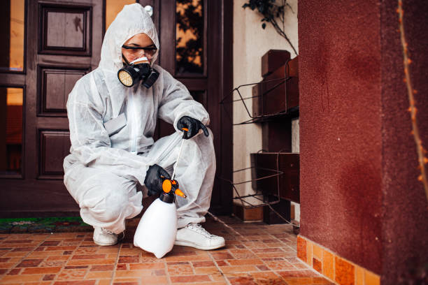 Reliable Rodent Control contractor in Arlington Heights, PA by Nex Pest Control