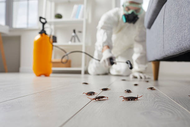 Trusted Mosquito Control service in Arlington Heights, PA - Nex Pest Control